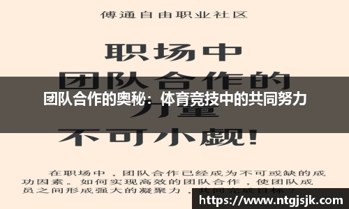 DG视讯
